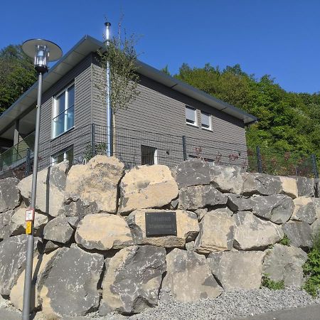 Ferienhaus Schieferterrasse - Waldsee Rieden - Extérieur photo